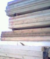 白松、樟子松、花旗松、落葉松木材_建筑建材_世界工廠網中國產品信息庫